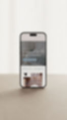 Website Design Mockup for Southern Boutique and Decor Store.jfif