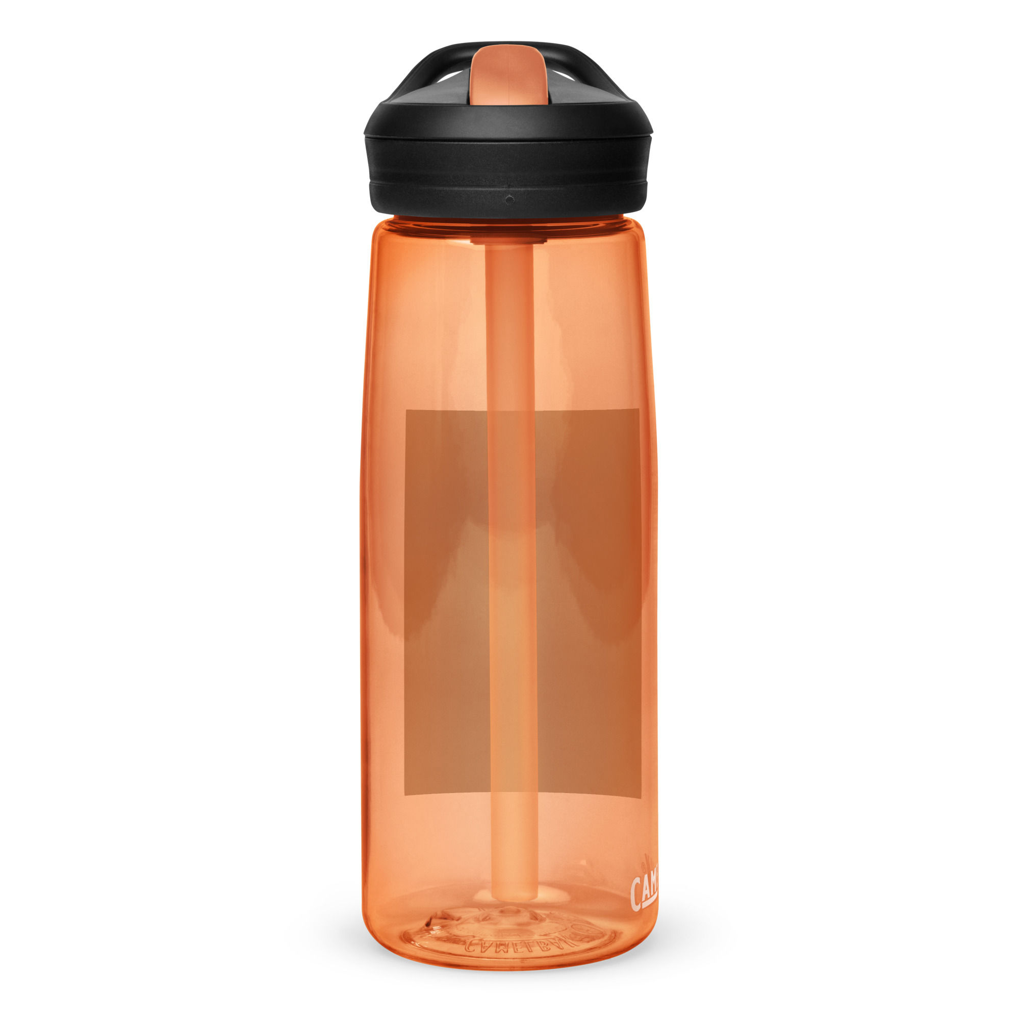 Sports water bottle