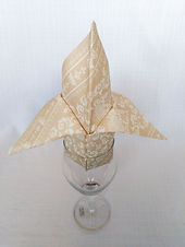 Napkin Folding