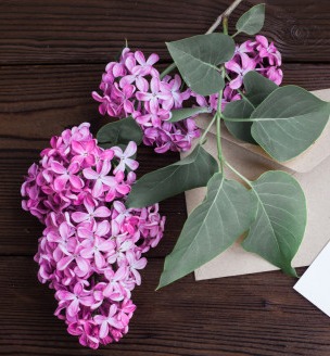 Sweet Smelling Flowers