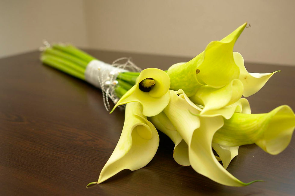 Pageant Bouquet image courtesy of freeimages.com