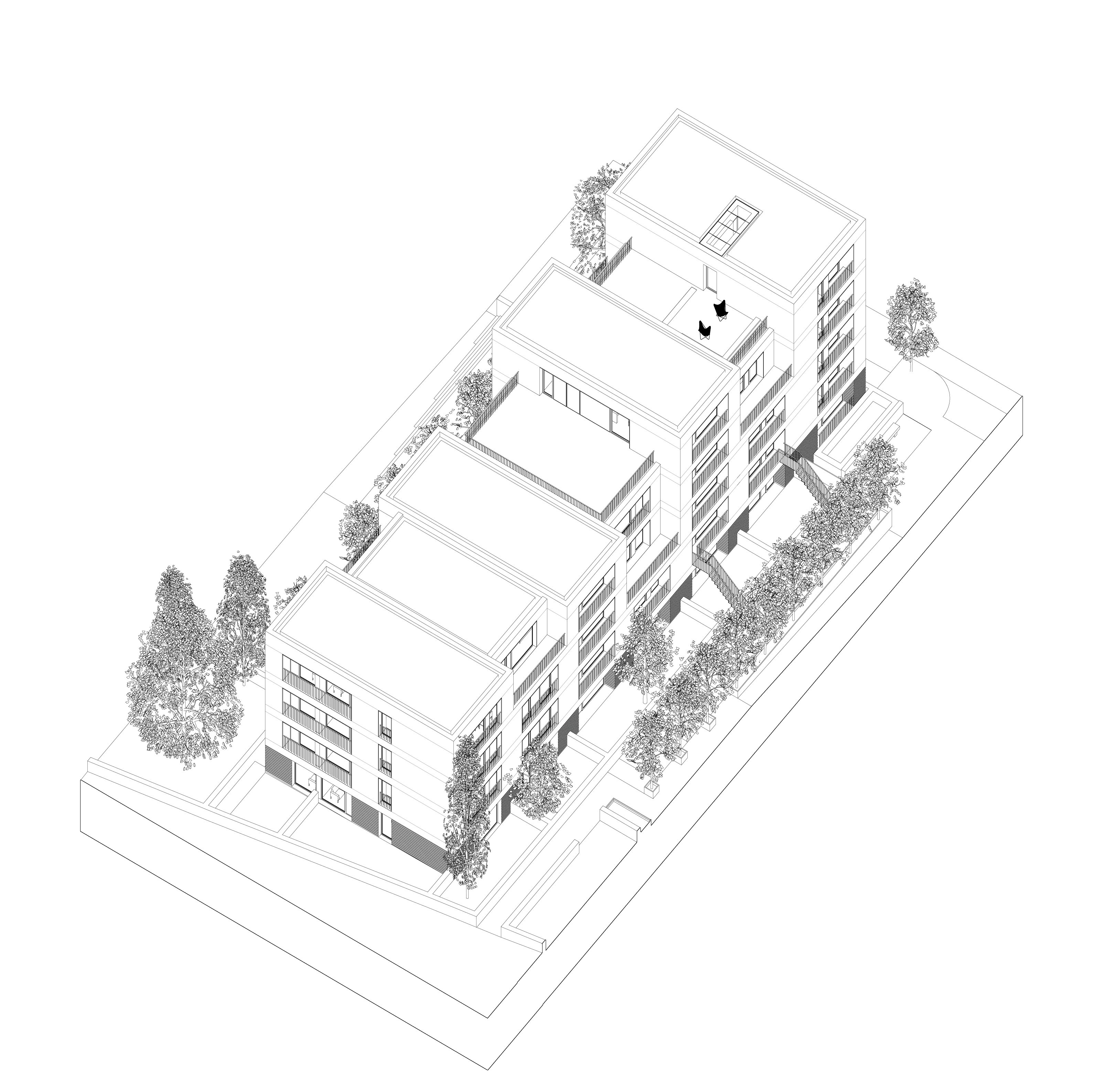 Axo-Flat-Types.gif