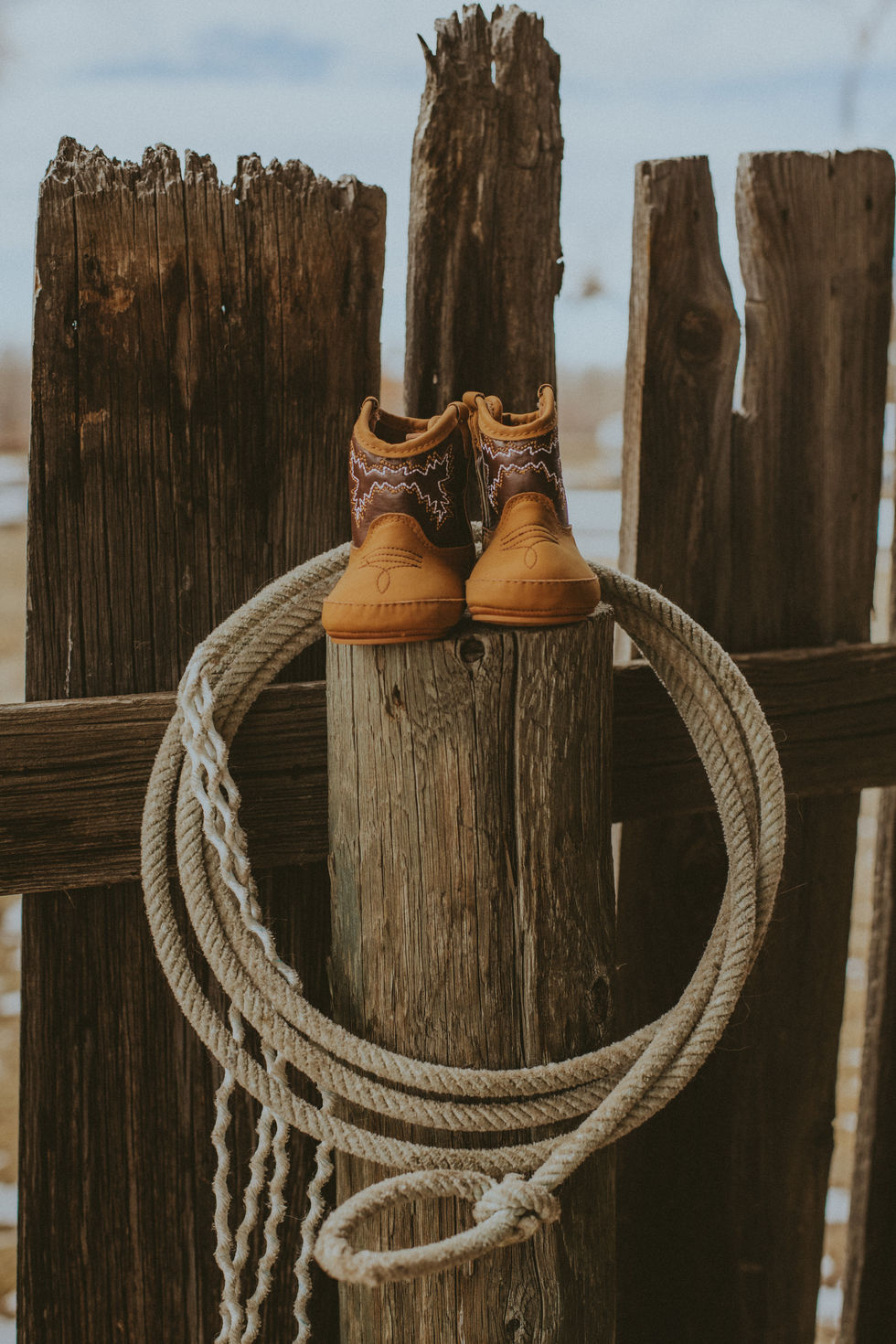 wilsonannoucement-24
