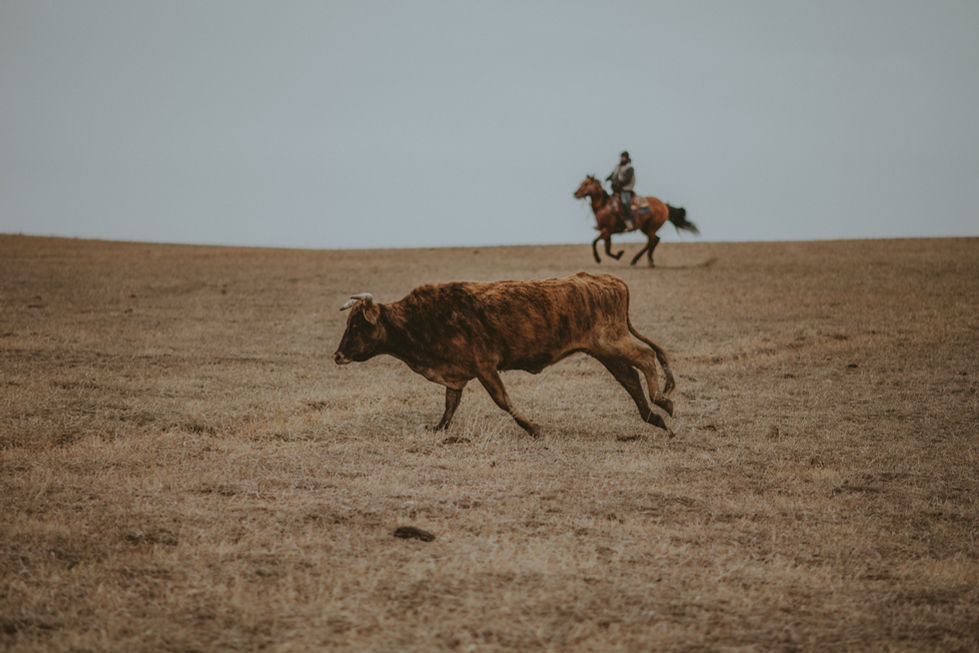 CrowderRanch_ENP-28