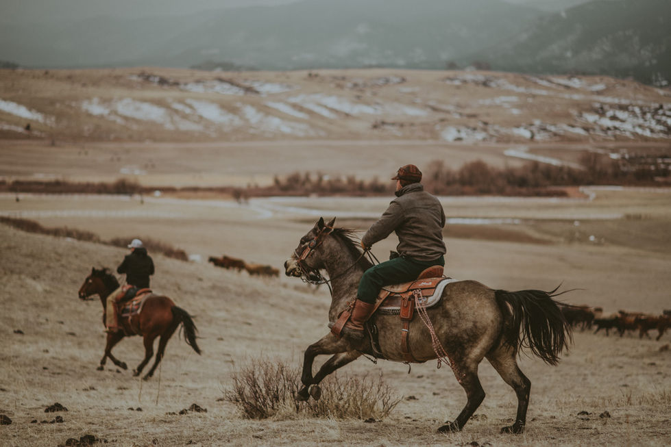 CrowderRanch_ENP-11