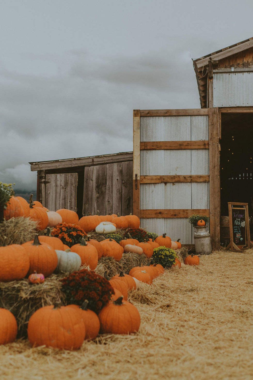 EmilyNicolePhoto_OctWorkshop-193