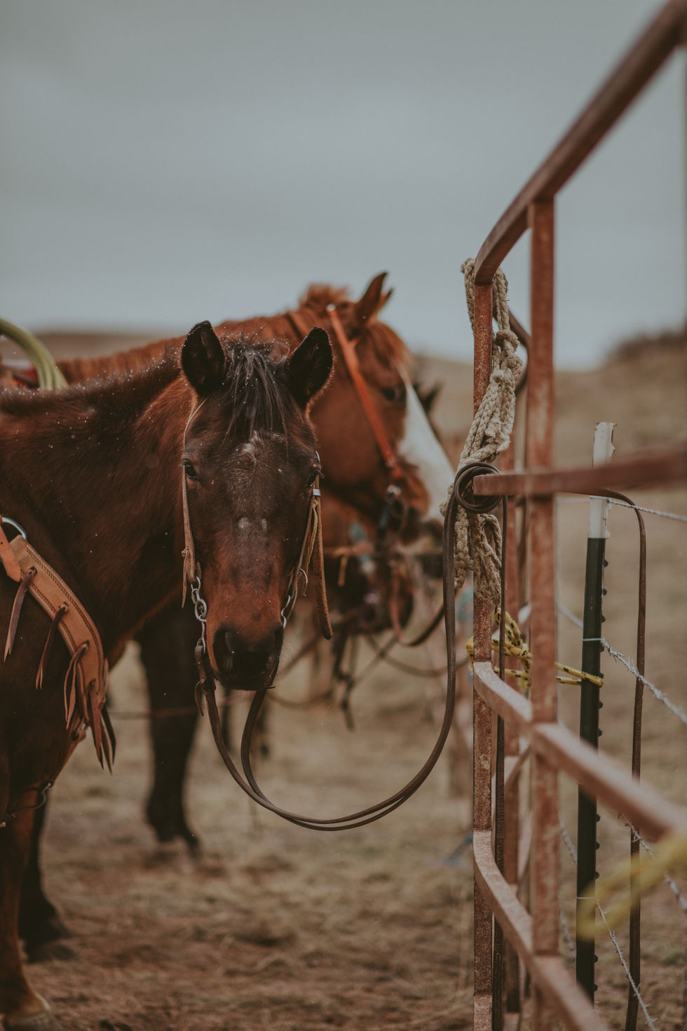 CrowderRanch_ENP-64