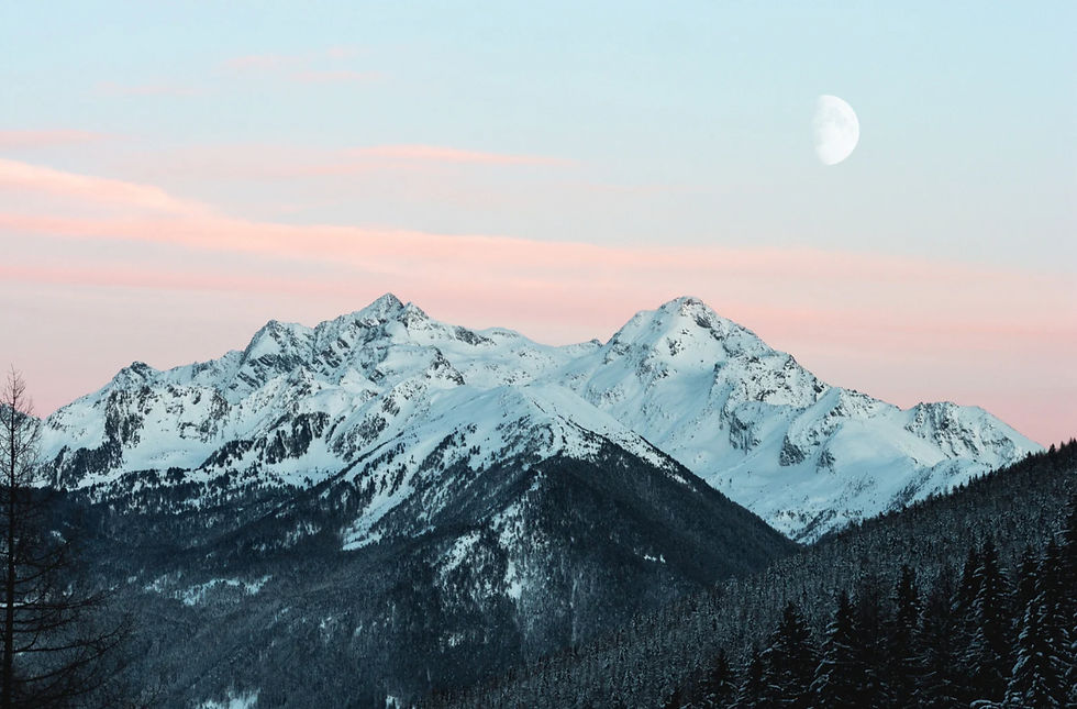 Untitled design - Noco_aesthetics_studio_edited.jpg