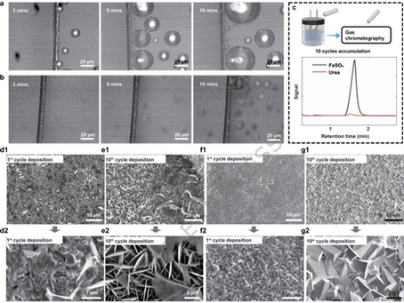 Iron Battery Renaissance: Prof. Yi Cui's Team Cuts Costs by 90% with "Urea-Enabled" High-Concentration Electrolytes