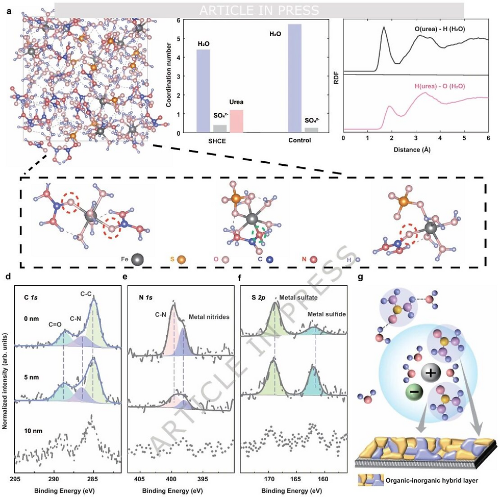 Investigation of solvation structure and electrode/electrolyte interface