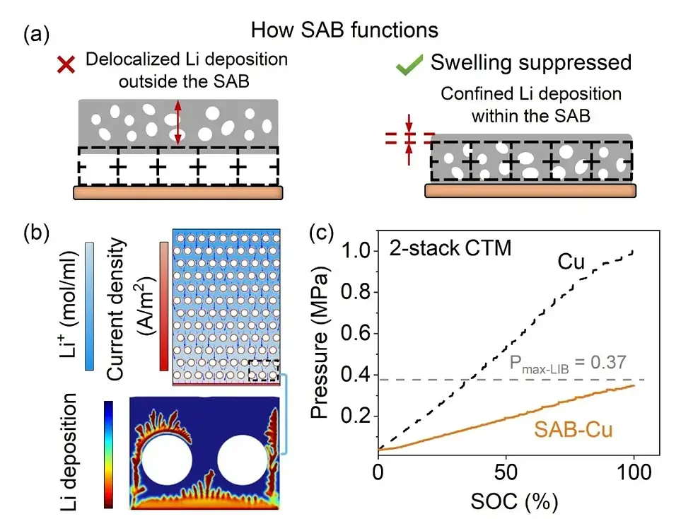 Figure 4. SAB design for AF-LMBs.