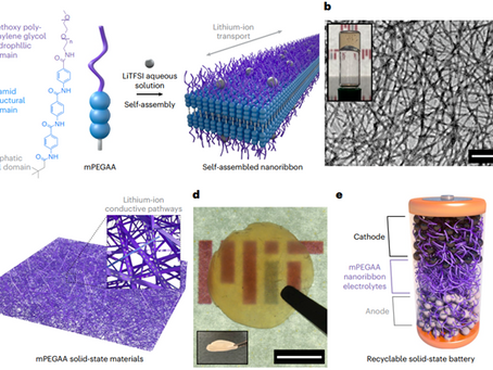 A Highly Recyclable Self-Assembled Solid-State Electrolyte: Balancing Kevlar-Like Stability with Battery Performance