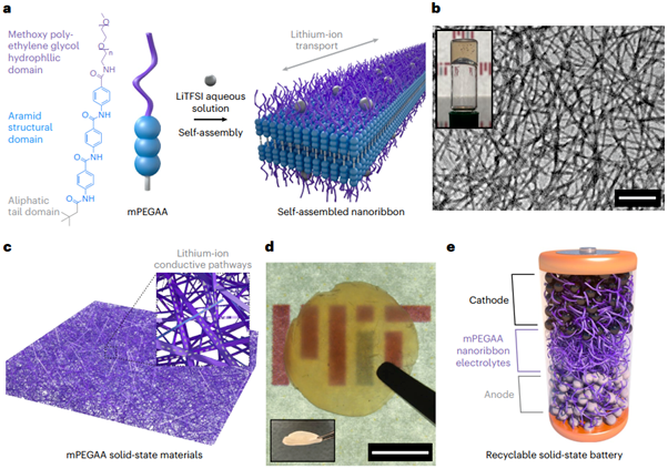 Kevlar-inspired mPEGAA self-assembly into ultra-stable nanoribbons for reversibly processed nanostructured Li-ion conductive solid-state electrolytes