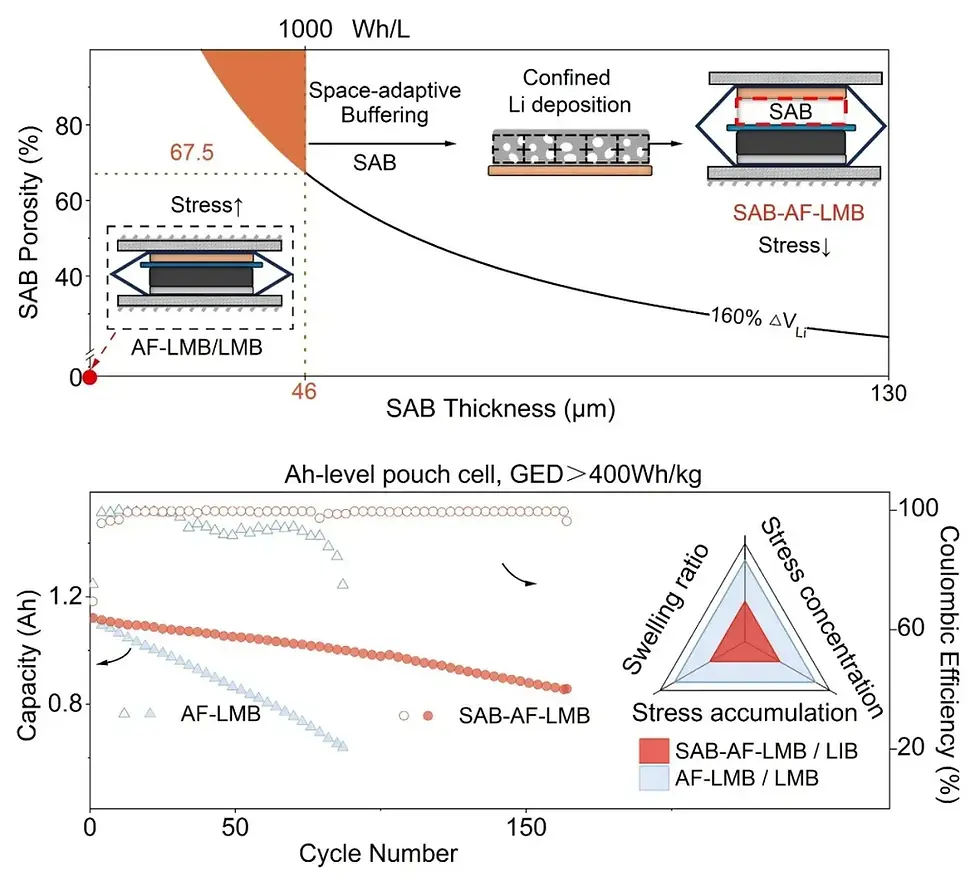 Figure 1. Expansion behavior of AF-LMBs under different mechanical constraint modes.