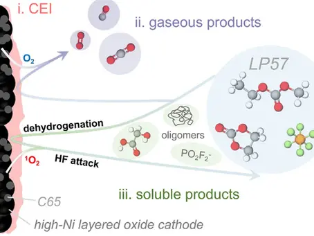 In-Depth Analysis: Triphasic Side Reactions in High-Nickel Cathodes and Their Suppression Strategies