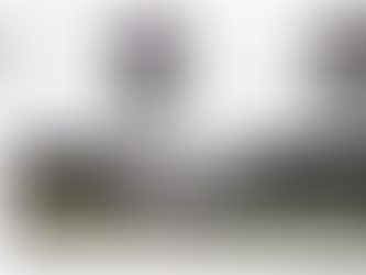 The Root Cause of Lithium Metal Battery Failure: Is It Really Electrolyte "Dry-Out"?Introduction