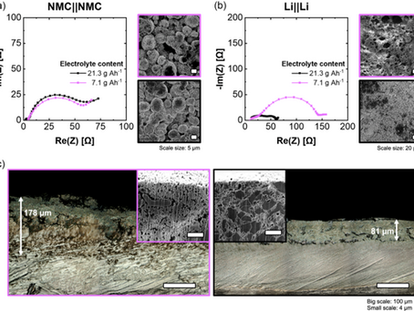 The Root Cause of Lithium Metal Battery Failure: Is It Really Electrolyte "Dry-Out"?Introduction