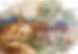 Untitled design_edited.jpg