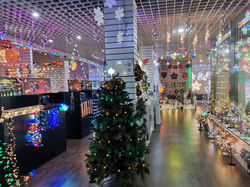 showroom (4)