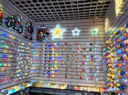 showroom (13)