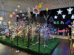 showroom (9)