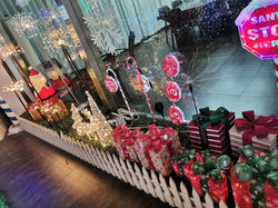 showroom (11)