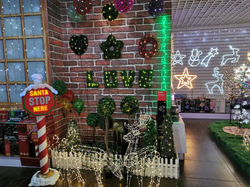 showroom (1)