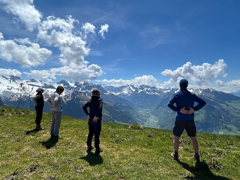 Öffentliches Seminar - Wandern & Taiji-Qigong: Auftanken im Frühling