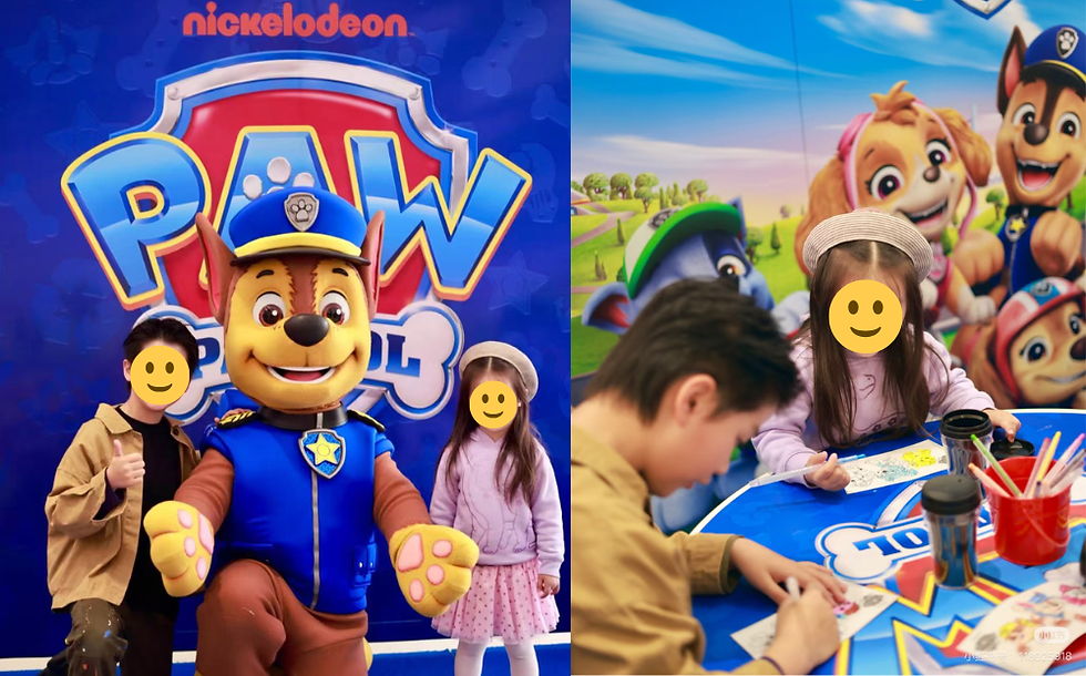 The Power of Influencer Campaigns in Australia