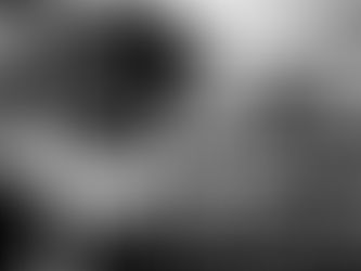 Renee Coloman, author of Born of Dirt & Dust, shares insights about her characters' odd and eerie behaviors.