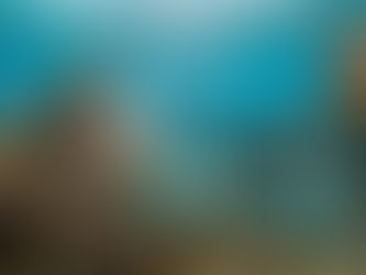 story excerpt from Born of Dirt & Dust by Renee Coloman