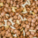 Comida animal_edited.jpg