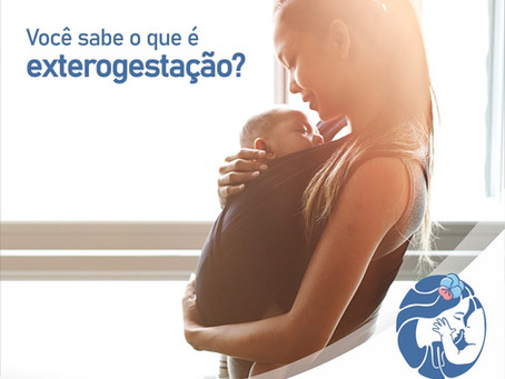Você sabe o que é Exterogestação?