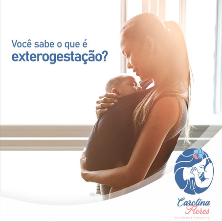 Você sabe o que é Exterogestação?