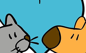 51206965_296708334325650_302734023296286