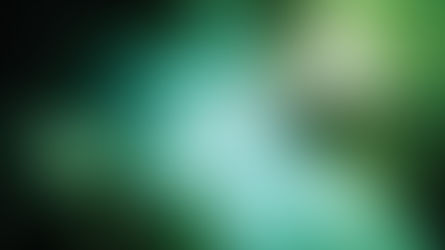 What will the economy in the future world look like?