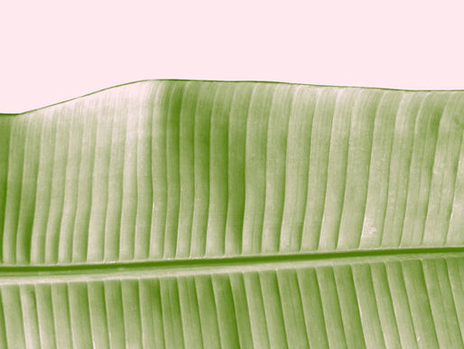 Emotional Intelligence