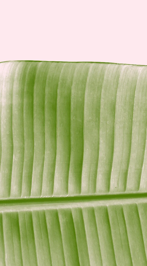 ブラジリアンワックス Waxing Malibu 恵比寿 脱毛 ワックス脱毛 フェイシャルワックス 顔脱毛 Vio