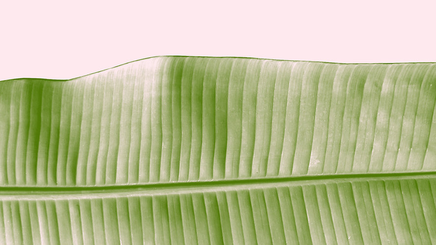 feuille Beauté