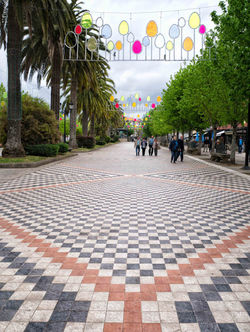 Fotogénico suelo el de La Alameda