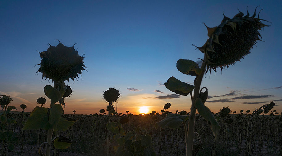 Los alrededores de esta villa de Uclés y su Monasterio son claramente manchegos, los llanos se rematan con suaves cerros que intercalan cereales y girasoles con encanto. A Photoperiplo le gusta hacer fotos y viajar para fotografiar estos lugares.