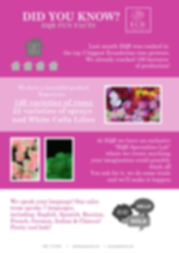 Did you know this about EQR_001.png