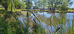 20240606_161214 (1).jpg