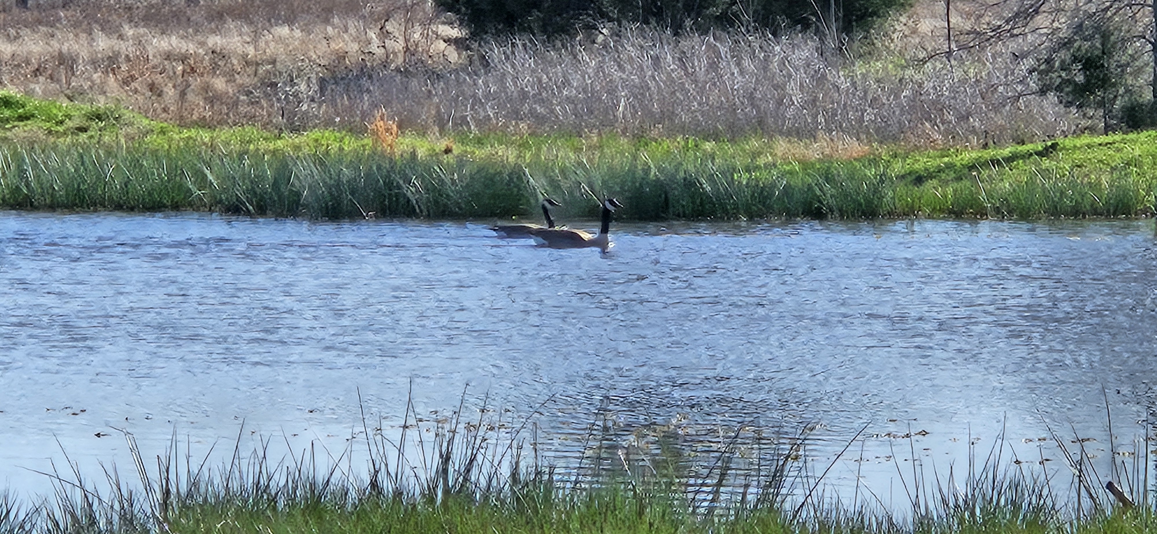 Turtle Pond Campground photo 2