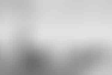 Photojournalism photo from the 2019 demonstration at Letna in Prague