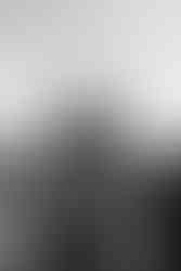 Photojournalism photo from the 2019 demonstration at Letna in Prague