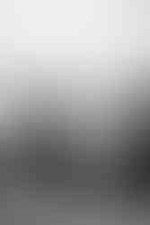 Photojournalism photo from the 2019 demonstration at Letna in Prague