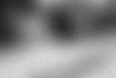 Photojournalism photo from the 2019 demonstration at Letna in Prague