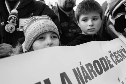 Photojournalism photo from the 2019 demonstration at Letna in Prague