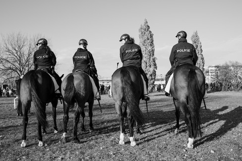 Photojournalism photo from the 2019 demonstration at Letna in Prague